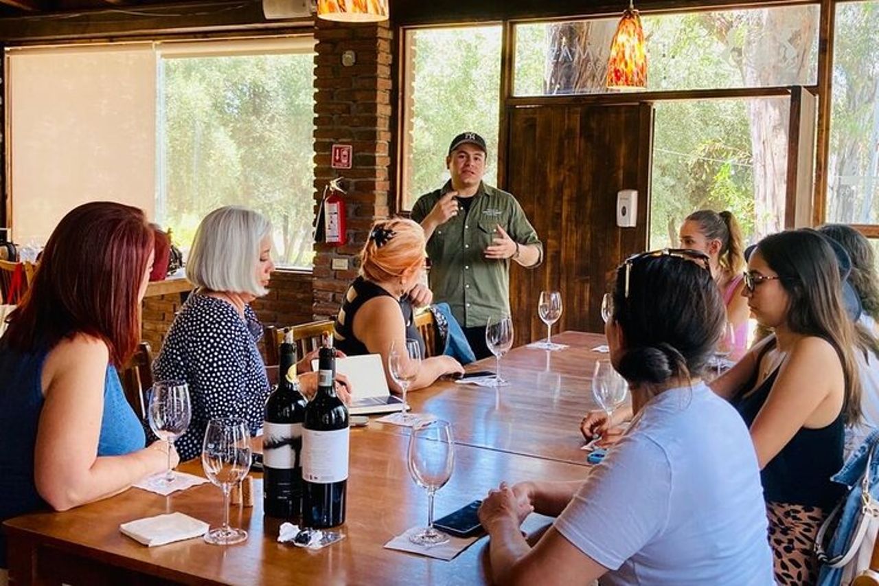 Esperienza del tour della vecchia strada del vino in Baja California. TUTTO INCLUSO! — 2