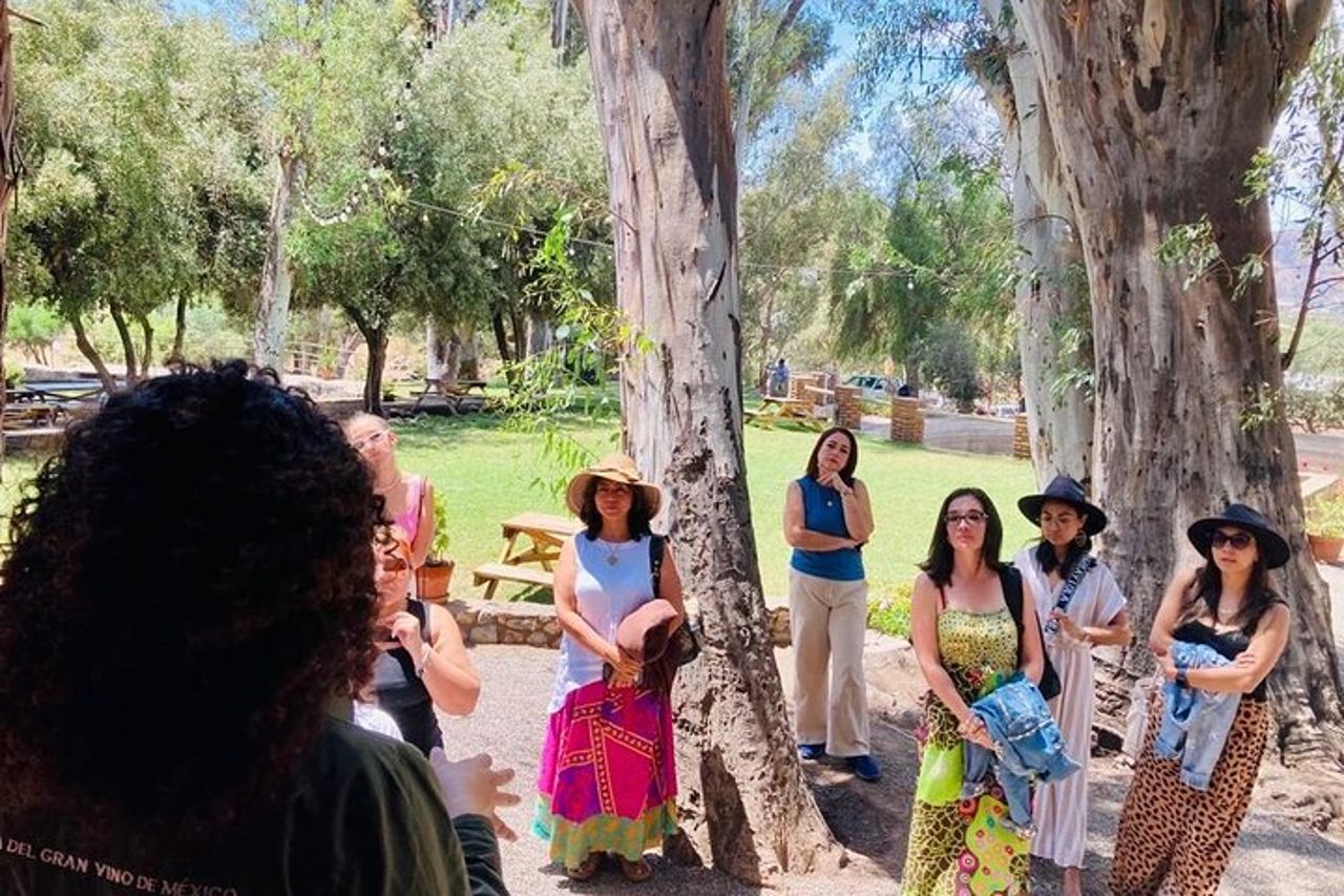 Esperienza del tour della vecchia strada del vino in Baja California. TUTTO INCLUSO! — 7