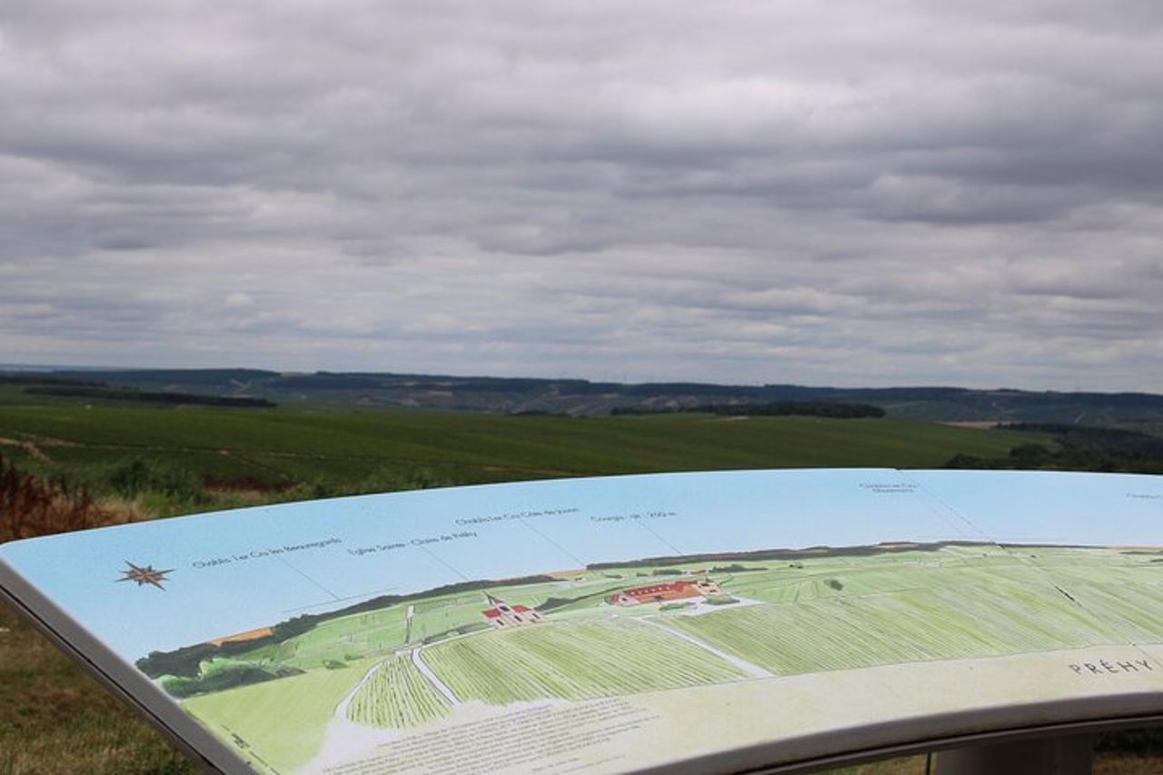 Fuga di vino con degustazione nel vigneto Chablis — 2