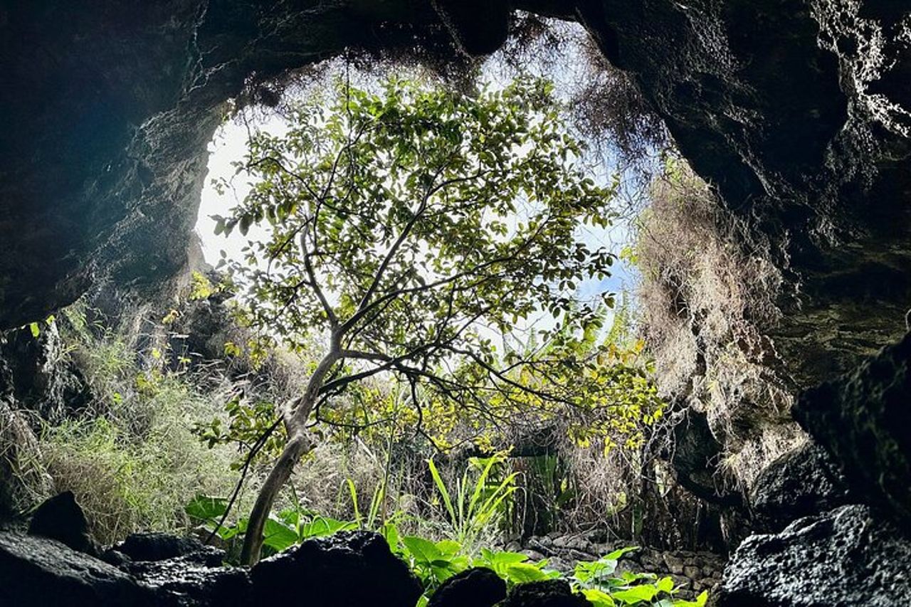 Tour privato di 5 giorni nell'Isola di Pasqua — 5