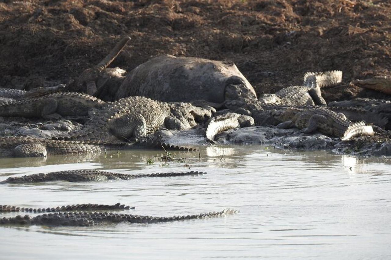 Safari serale - Yala National Park con safari Janaka - dalle 14:00 alle 18:30 — 6