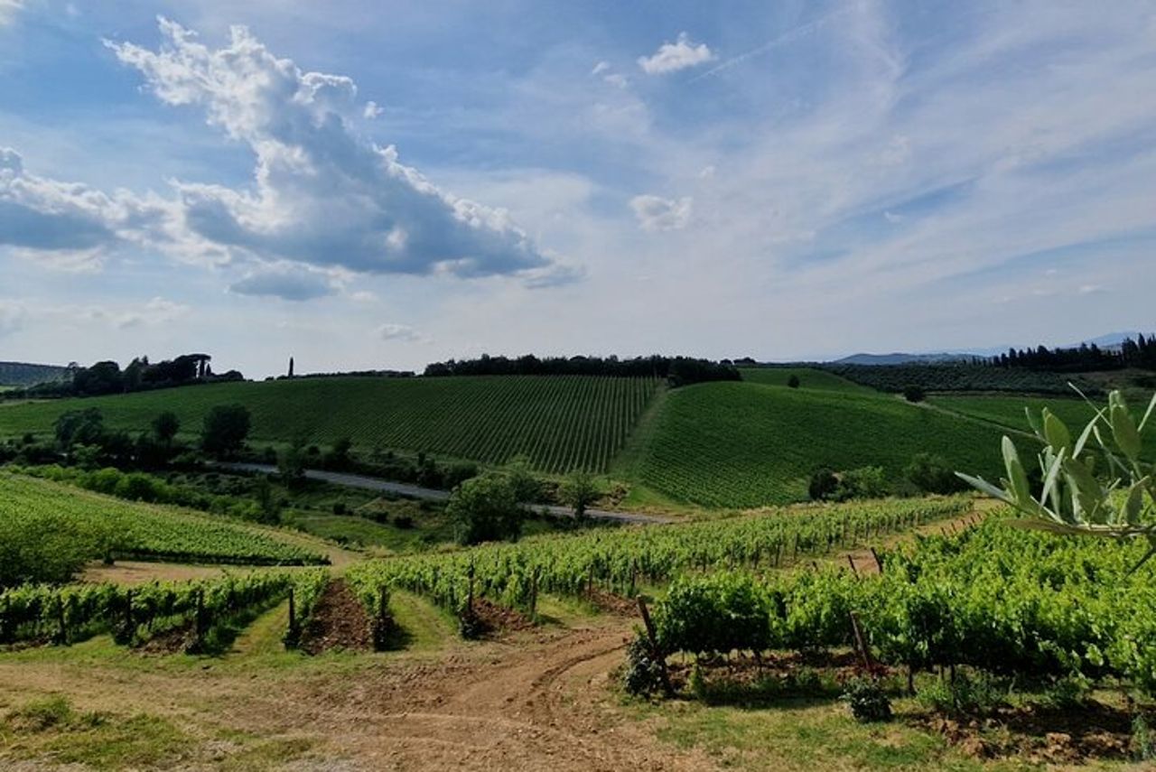 IL MAESTRO del Chianti Classico 3 Cantine Top Servizio Limousine — 2