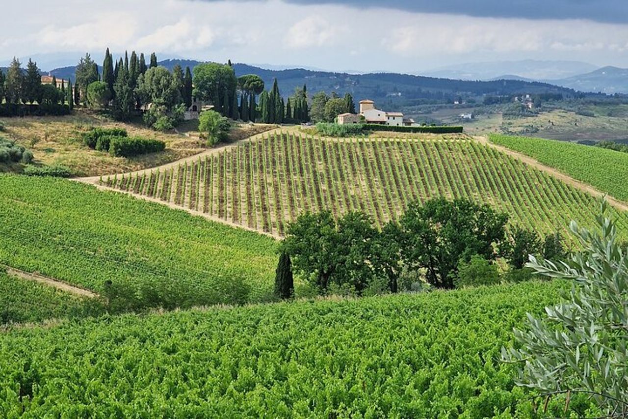 IL MAESTRO del Chianti Classico 3 Cantine Top Servizio Limousine — 8