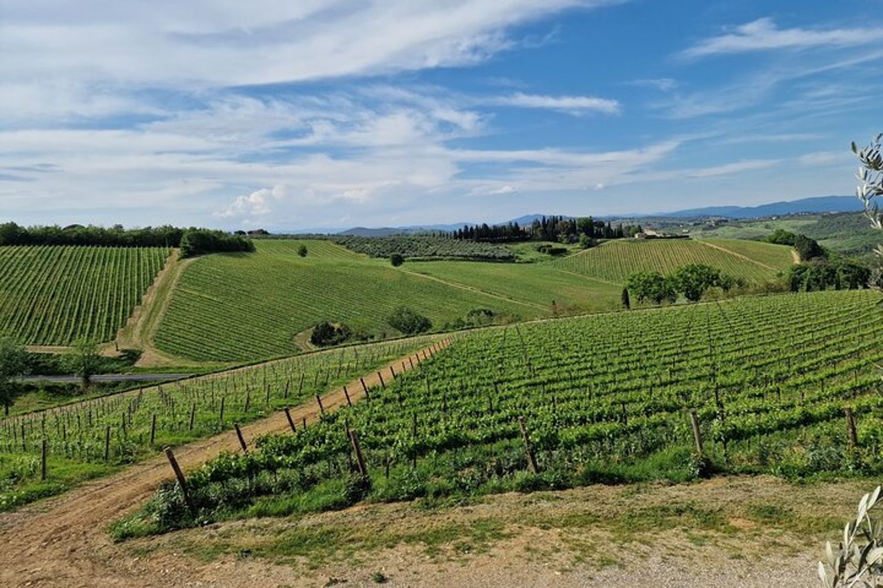 Wine Tours Chianti all inclusive Pranzo & Degustazione 1 cantina — 3