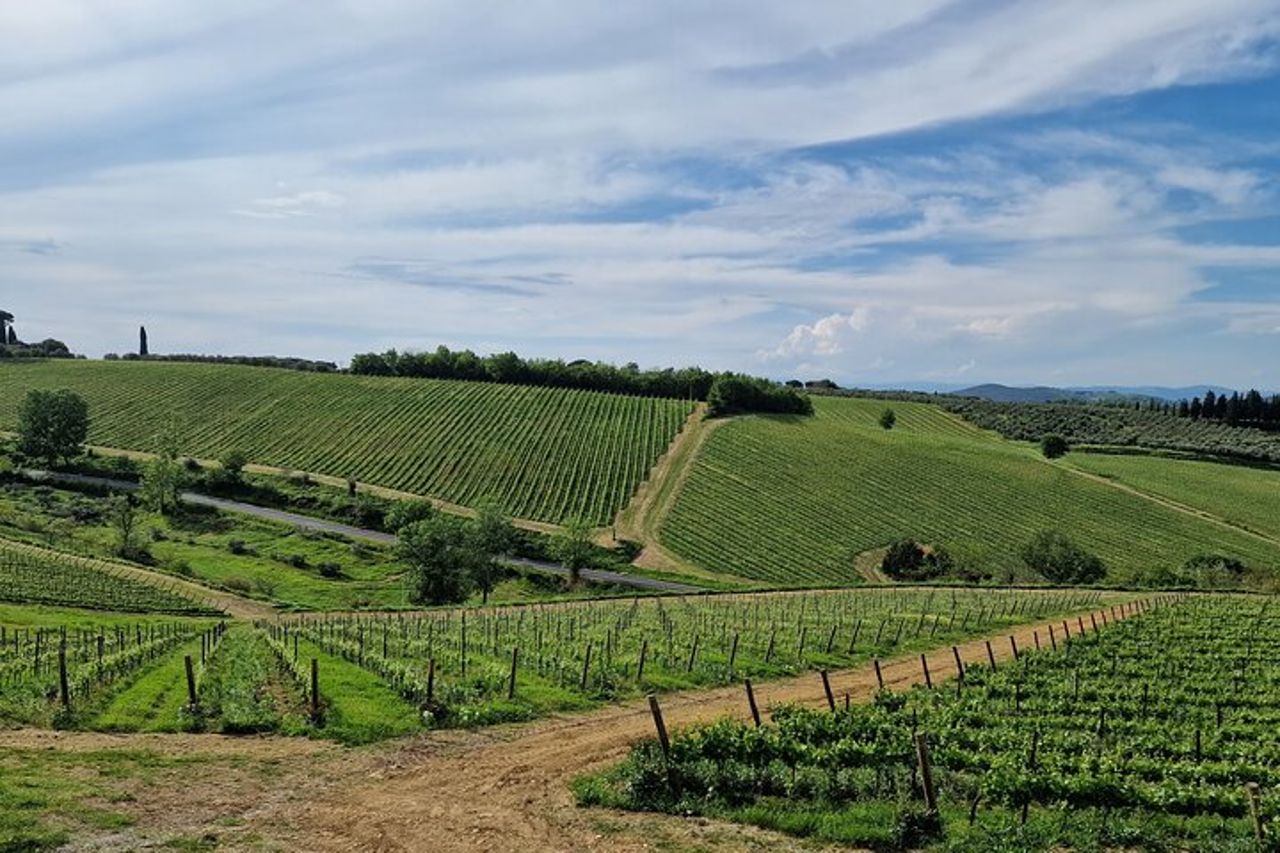 Wine Tours Chianti all inclusive Pranzo & Degustazione 1 cantina — 4