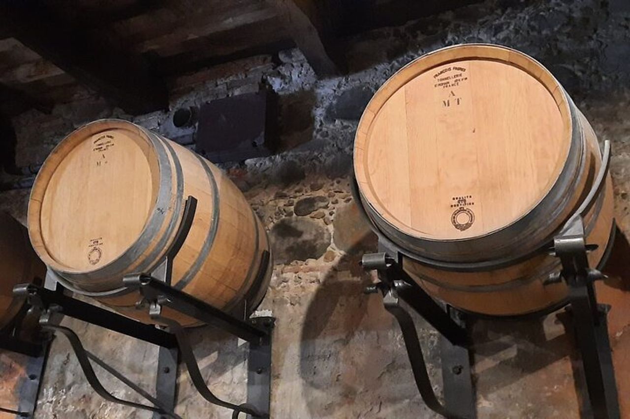 Wine Experience in azienda vinicola e cantina da Montecatini T. — 7