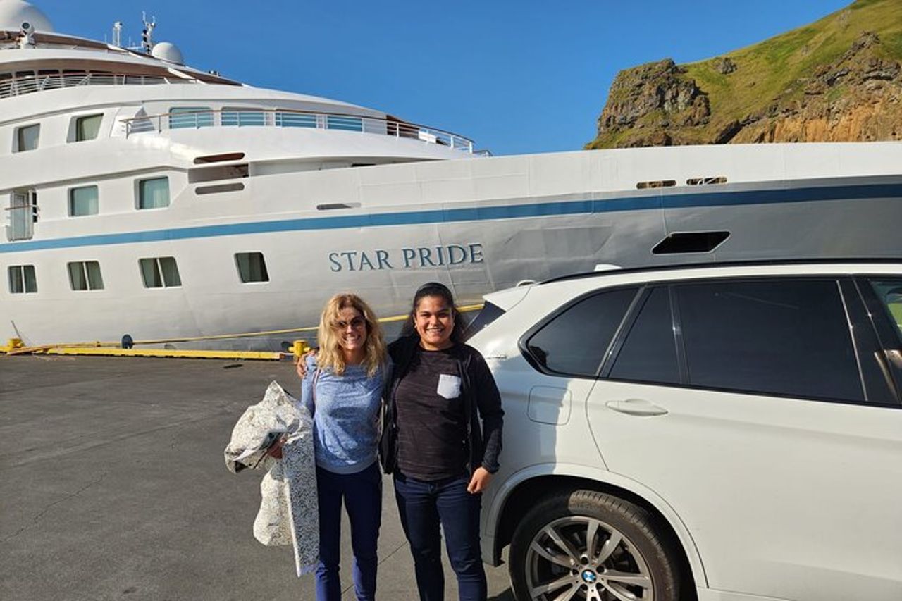 Tour privato di 2 ore - Isole Westman con un locale in una BMW X5 — 4