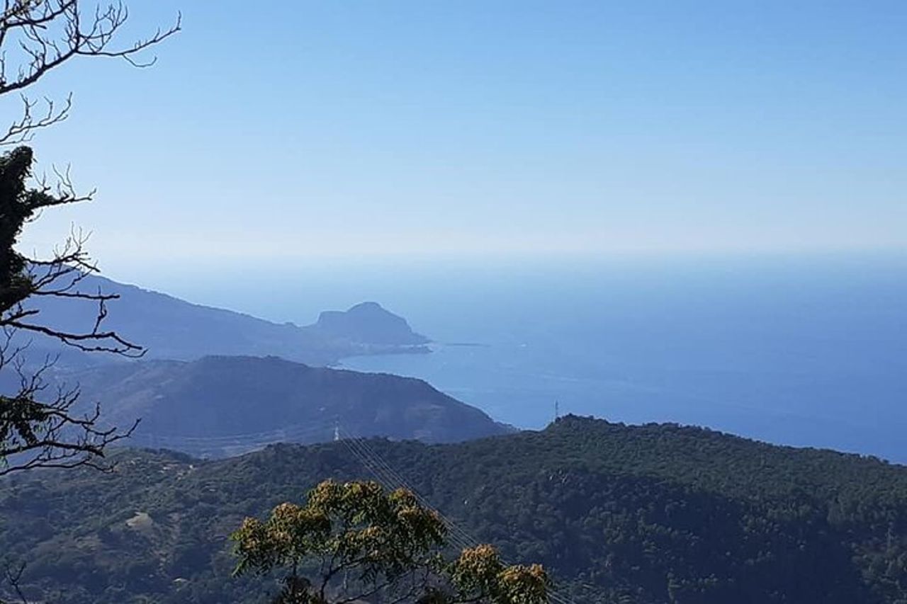 Tour privato di un'intera giornata nei borghi medievali e nei vigneti di Cefalù — 6