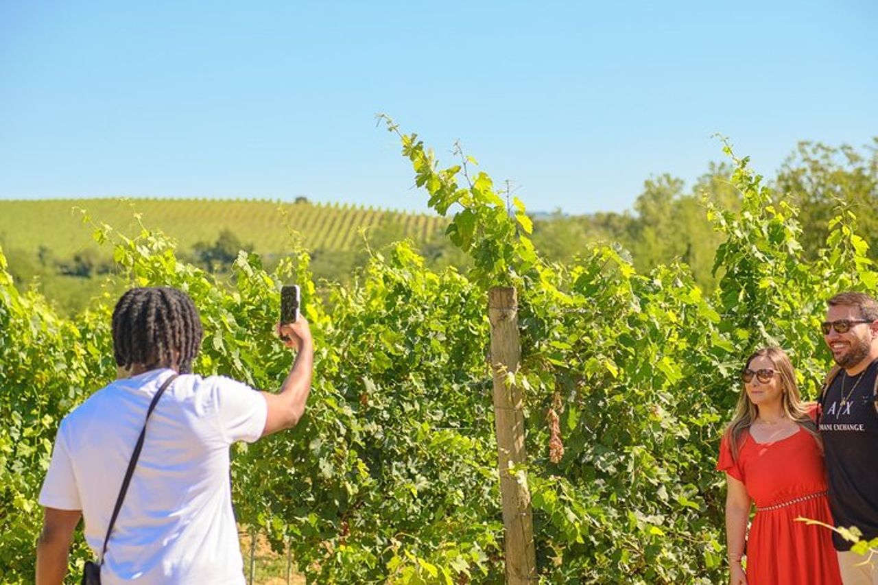 Firenze: Tour privato del Chianti di un'intera giornata e pranzo in cantina opzionale