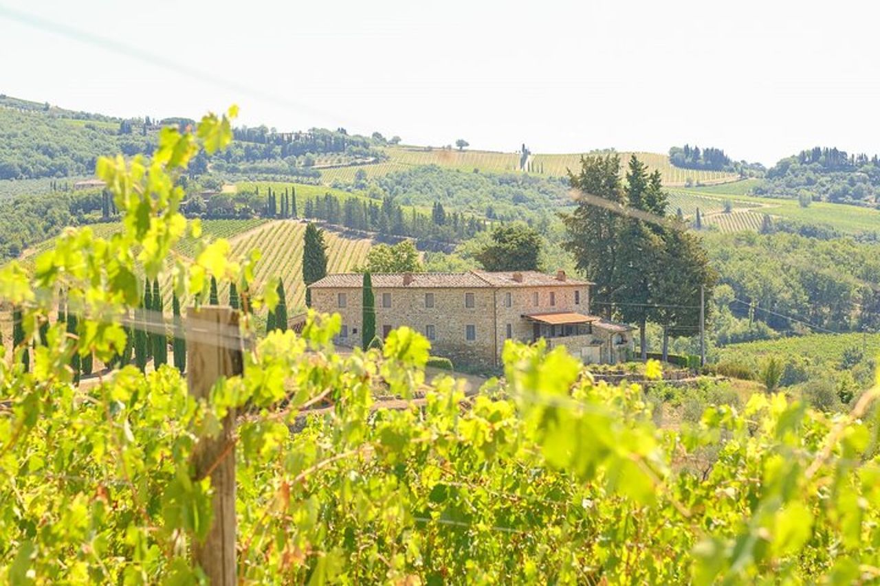 Firenze: Tour privato del Chianti di un'intera giornata e pranzo in cantina opzionale — 7
