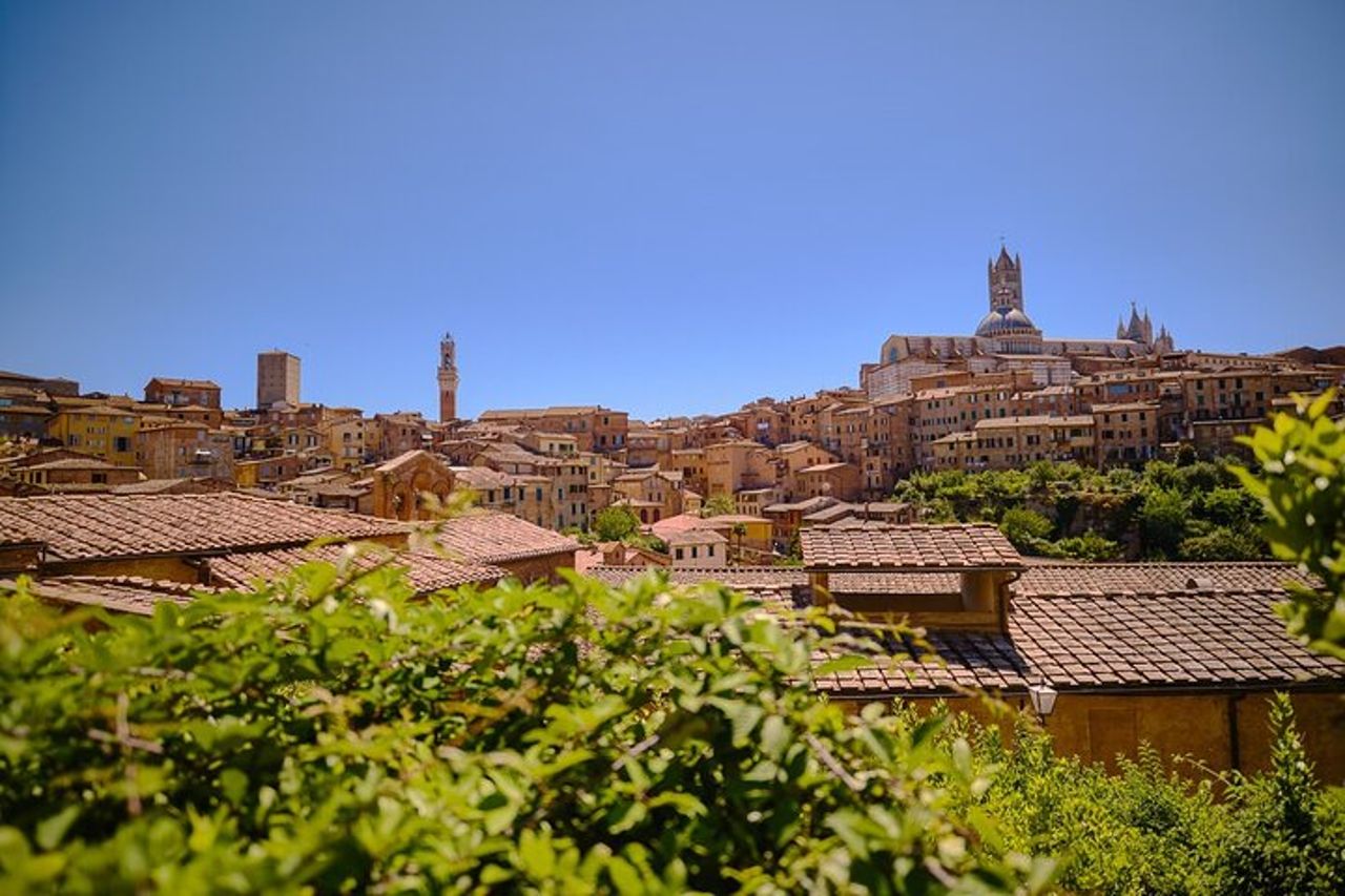 Tour di un giorno di Siena, San Gimignano e Chianti da Firenze — 8