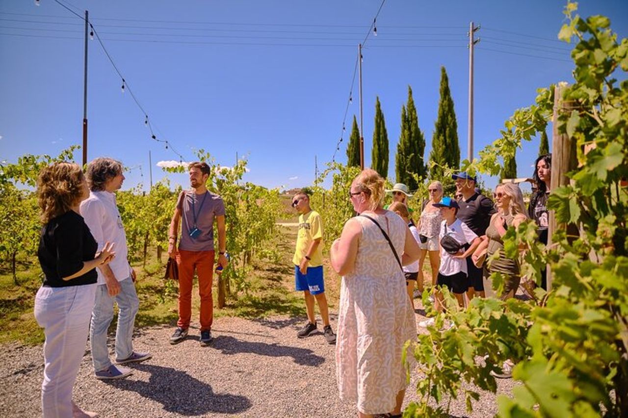 Tour di un giorno di Siena, San Gimignano e Chianti da Firenze
