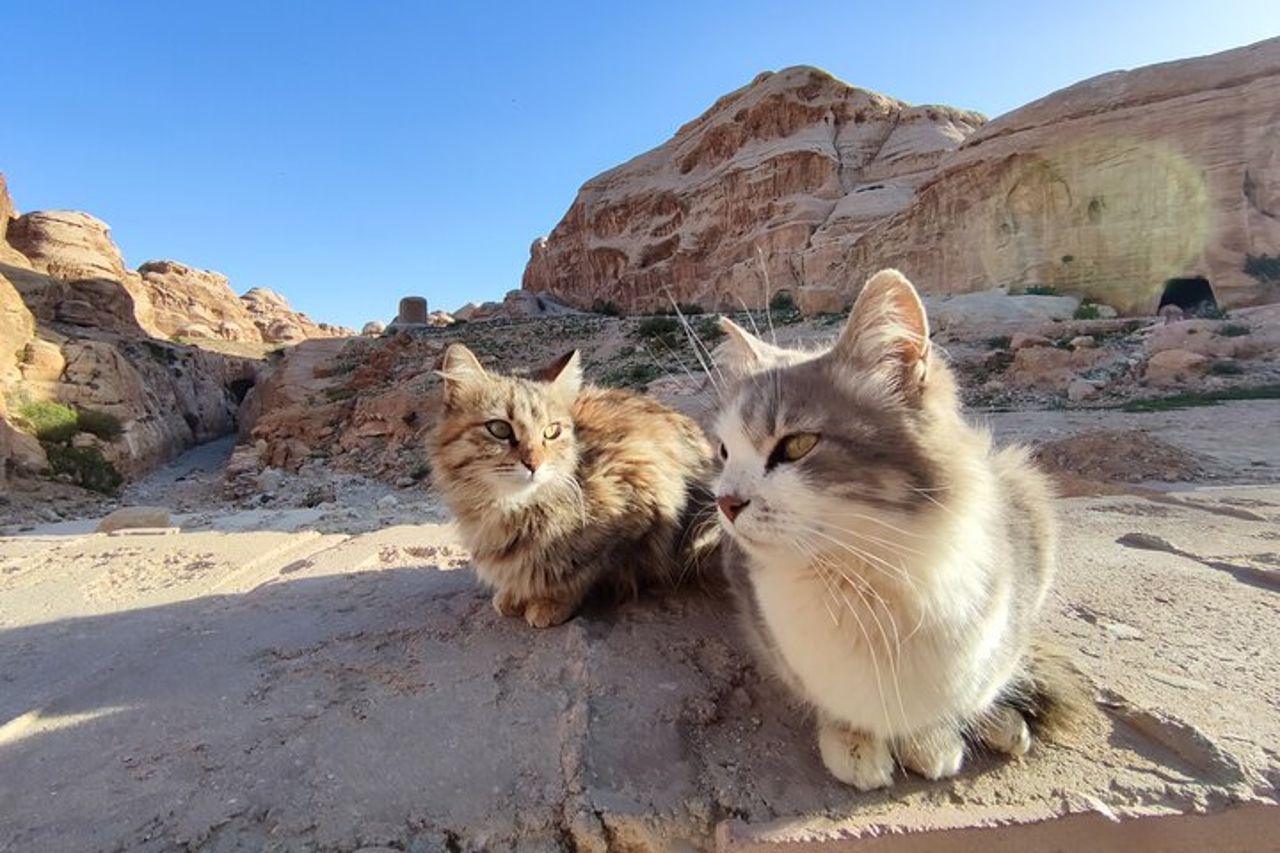 Tour guidato privato a Petra con guida autorizzata — 7