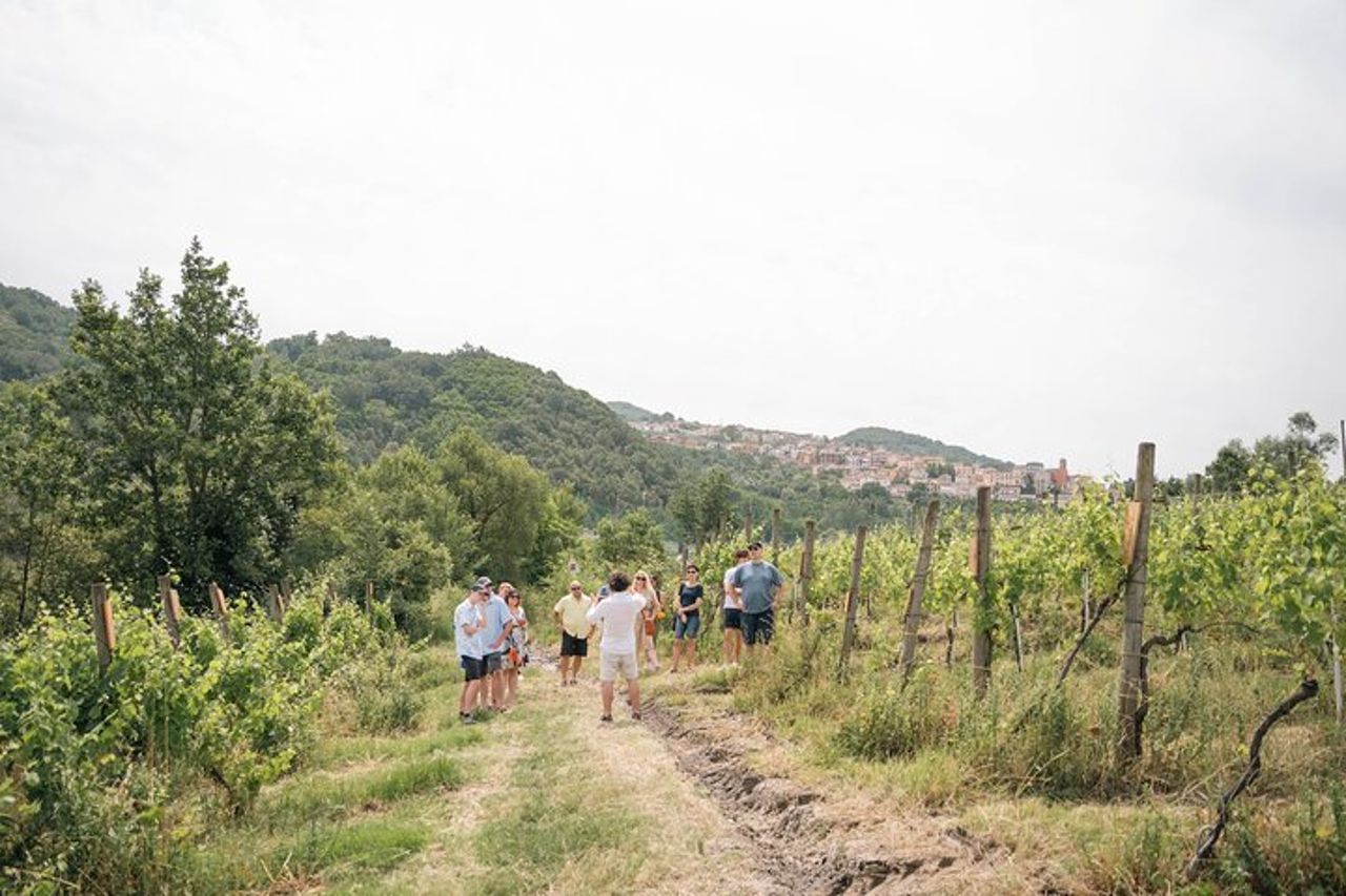 Irpinia Cooking Class e Wine Experience con Transfer — 6