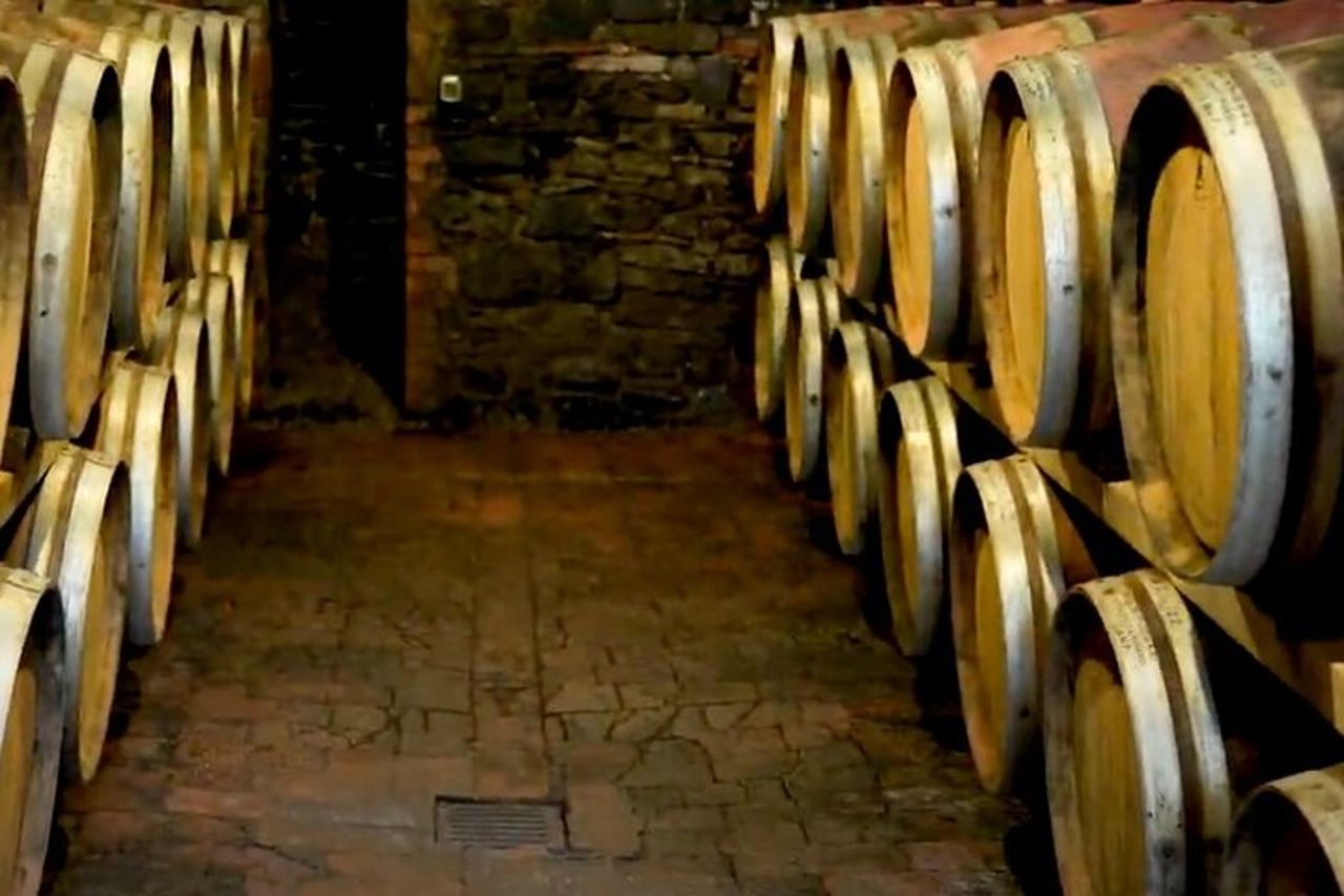 Tour del brunello di Montalcino da San Gimignano — 8