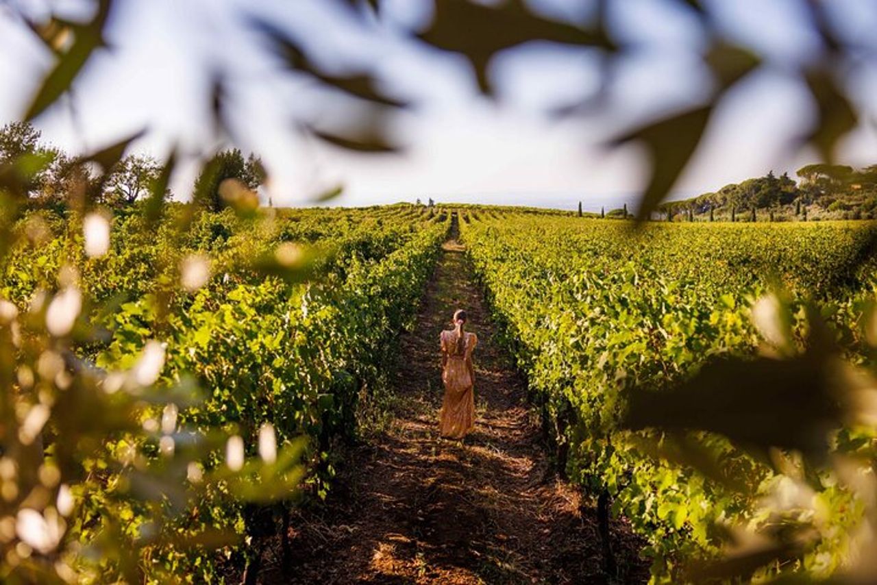 Delizie della Tuscia: escursione a Pitigliano ed esperienza di degustazione di vini — 5