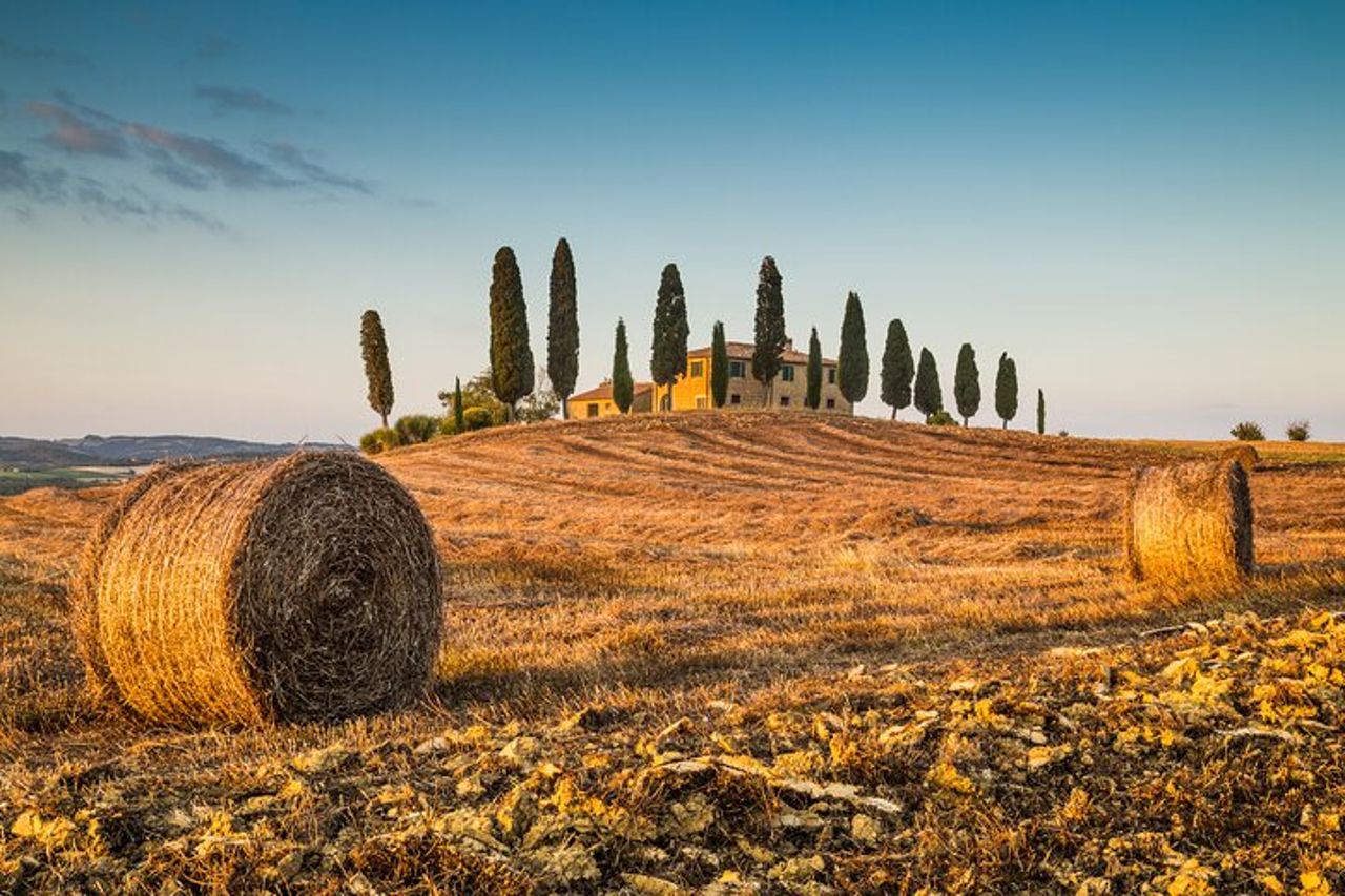 Tour Medievale a Monteriggioni e Val d'Orcia da Firenze — 3