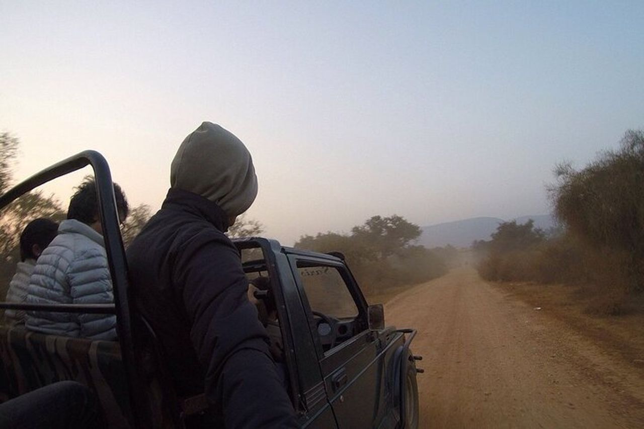 Sariska Tiger Prenota Assistenza per Biglietti Safari Privati Zingari — 6