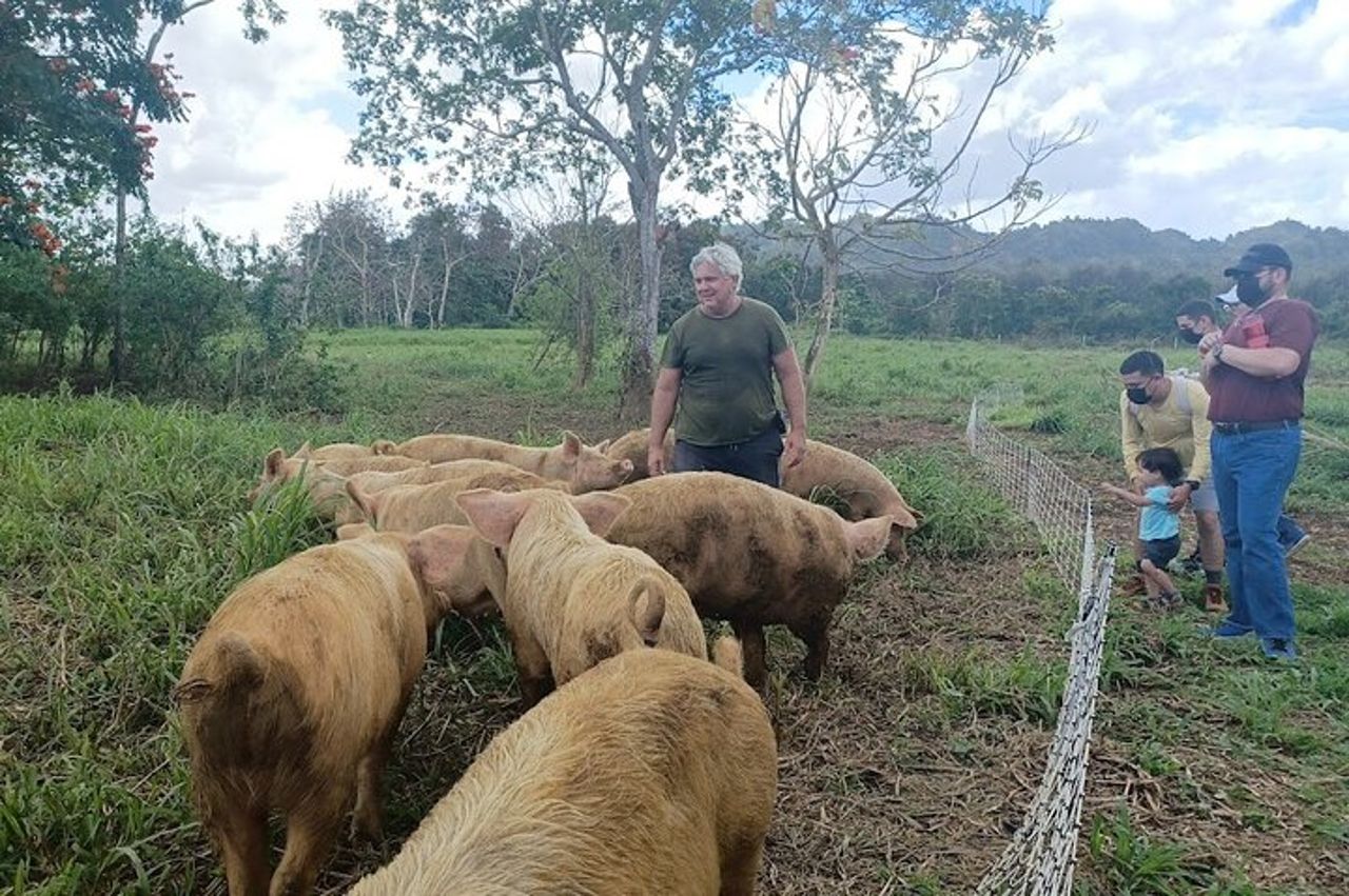 Tour agricolo ecologico per esplorare la fattoria più bella di Dorado — 7
