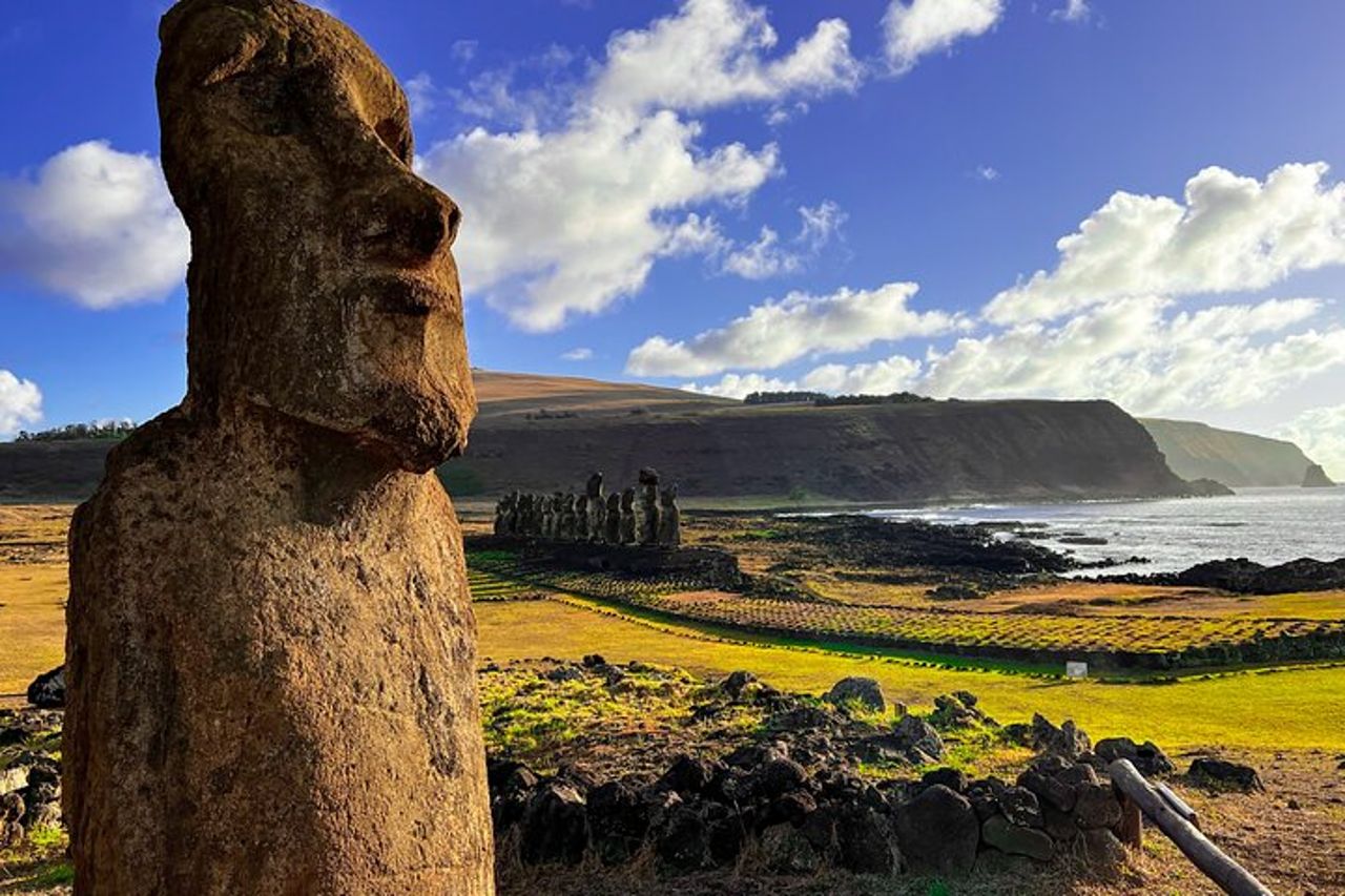 Tour di un giorno intero: il sentiero dei Moai — 4