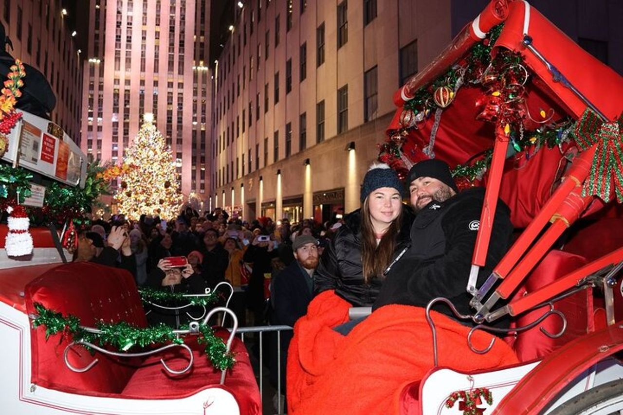 Giro in carrozza privata con le luci di Natale a New York City — 2