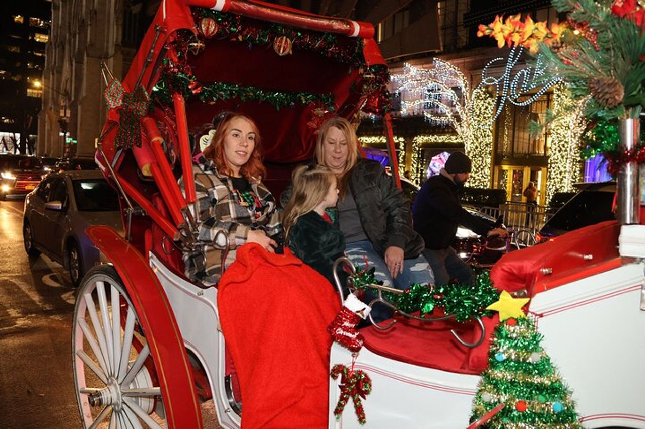 Giro in carrozza privata con le luci di Natale a New York City — 5