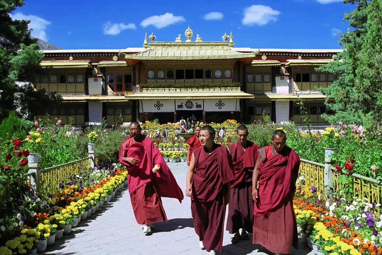 Tour guidato privato di Dharamshala con vista panoramica e pranzo — 3