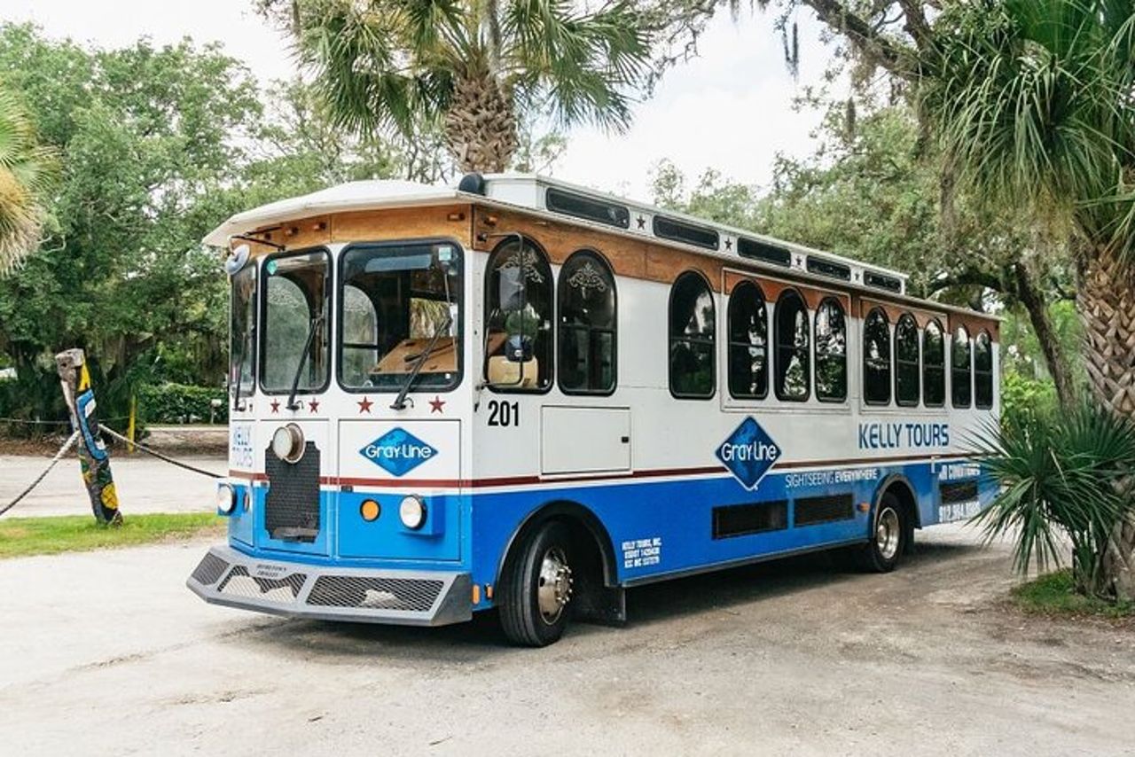 Da Savannah a Tybee Island con crociera con i delfini — 4