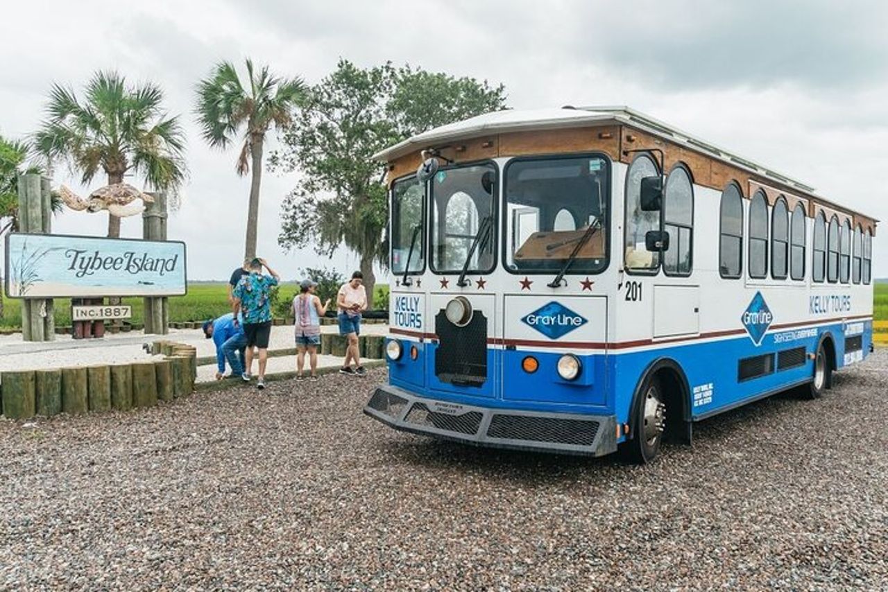 Da Savannah a Tybee Island con crociera con i delfini — 2