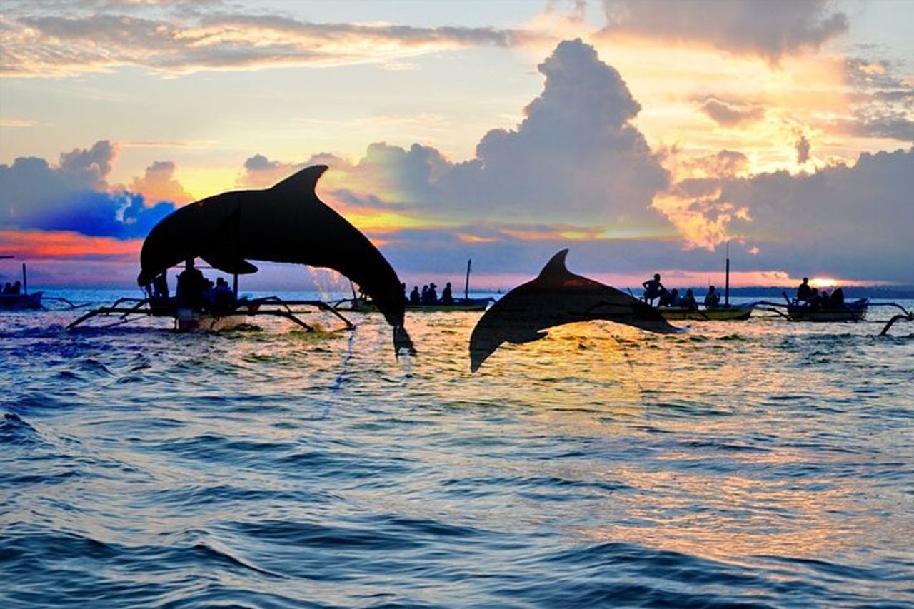 Lovina Family Adventure Dolphins, Alba e Snorkeling — 5