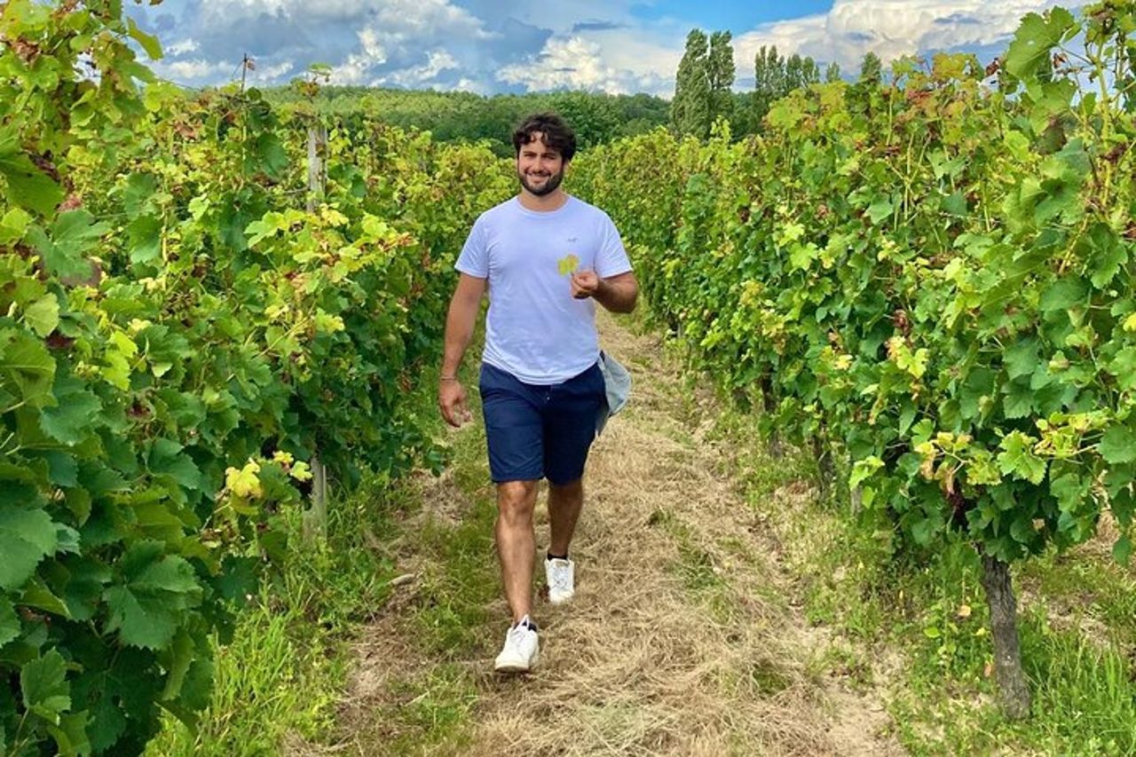 Assembla la tua propria cupola di vino in immersione al vigneto — 7