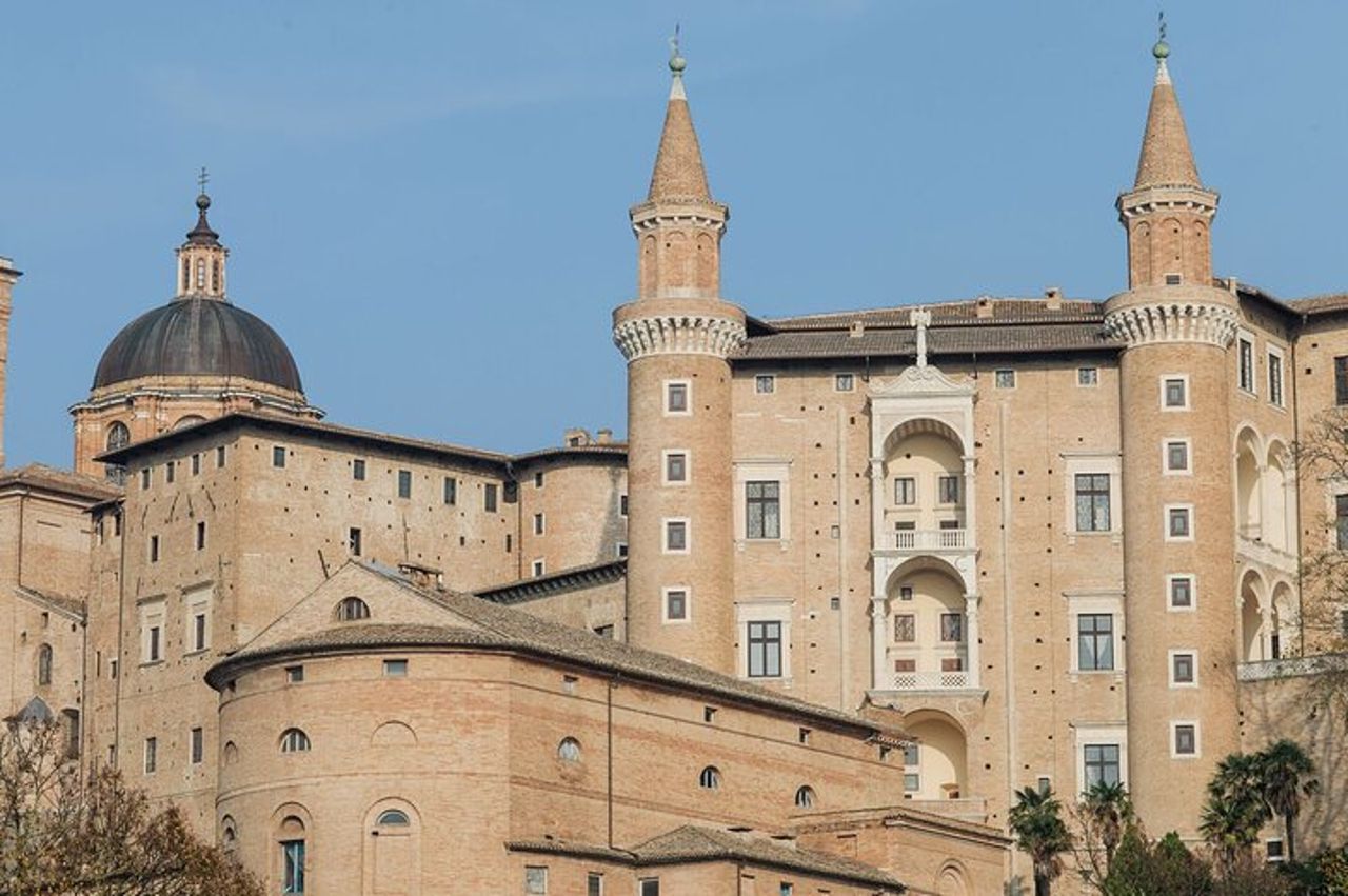 Visita guidata di gruppo del Palazzo Ducale e della Galleria Nazionale delle Marche — 3