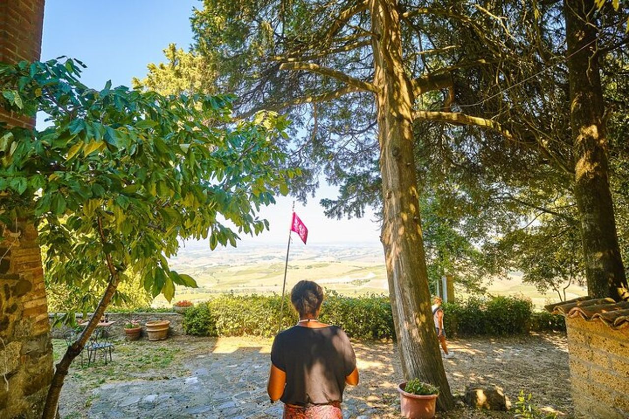 Tour di un'intera giornata in Val d'Orcia e Campi dei Gladiatori con Vini — 8