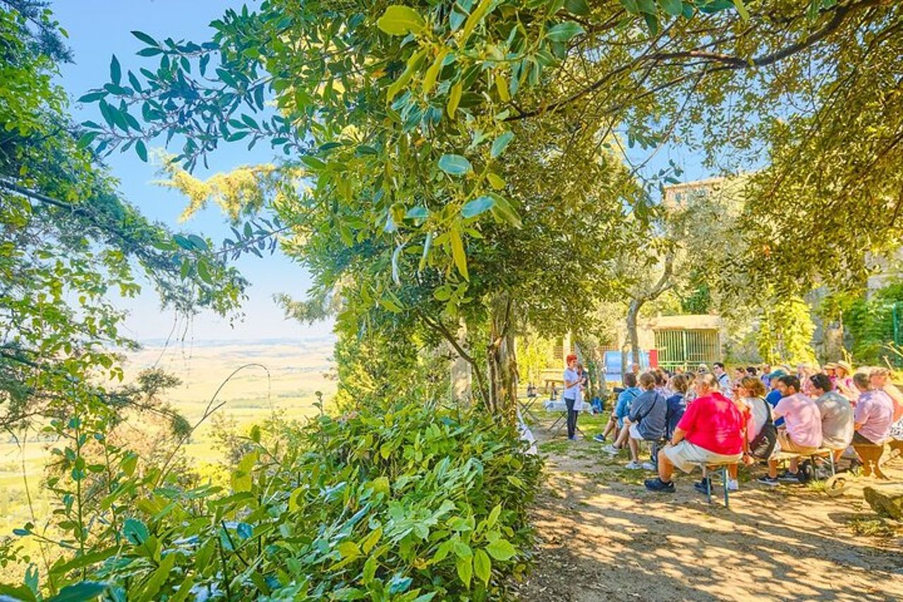 Tour di un'intera giornata in Val d'Orcia e Campi dei Gladiatori con Vini — 6