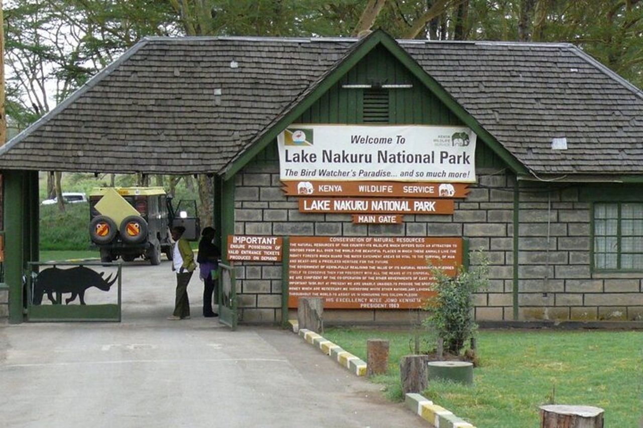 Tour di osservazione degli uccelli di un'intera giornata al Parco Nazionale del Lago Nakuru — 3