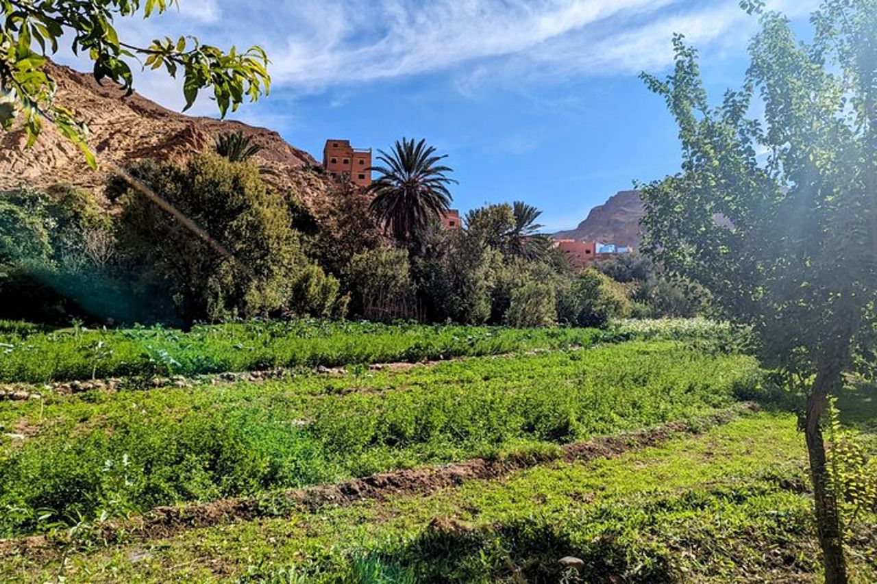 Fes To Marrakech: tour di 3 giorni attraverso il deserto di Merzouga e Cammello — 6