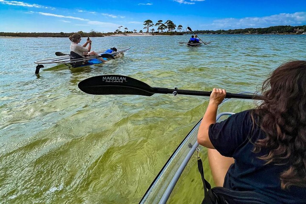 Cancella Kayak Ecotour Destin Ft. Walton Beach — 4