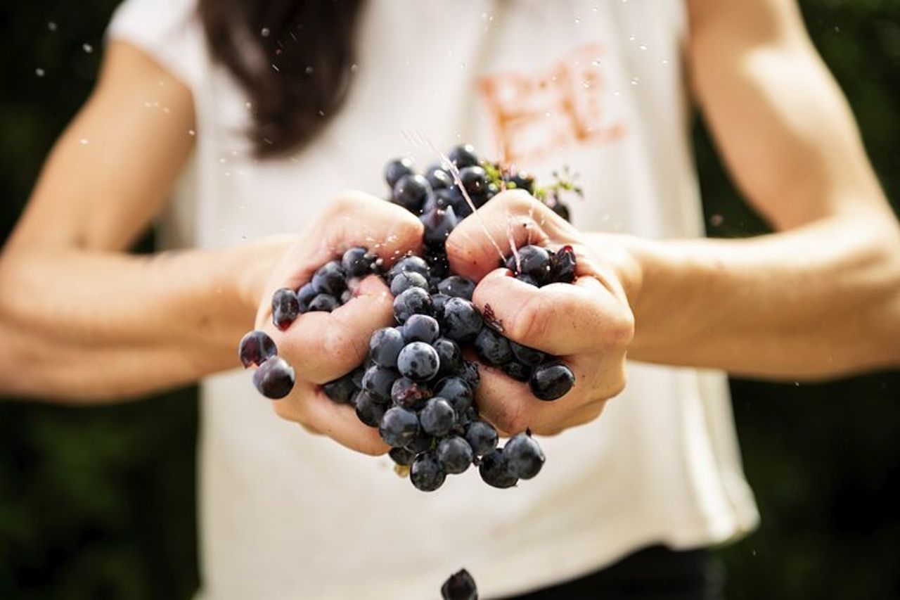 3-Ore Esperienza Enogastronomica Privata a Montalcino