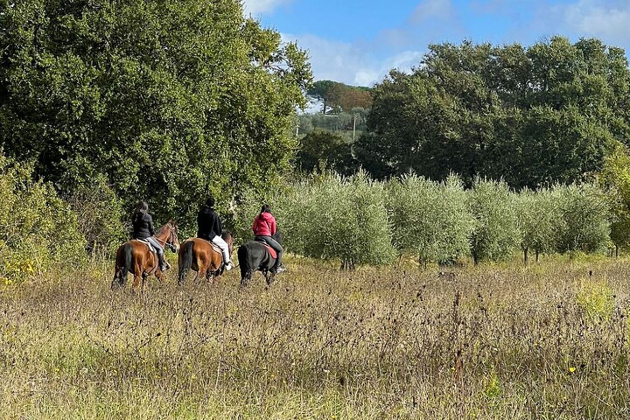 Passeggiata a cavallo a Montepulciano Toscana, pranzo in fattoria — 3