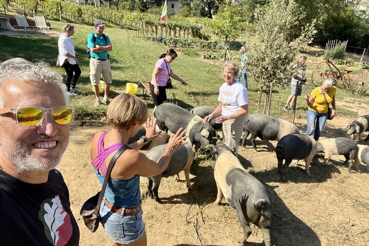 Passeggiata a cavallo a Montepulciano Toscana, pranzo in fattoria — 4