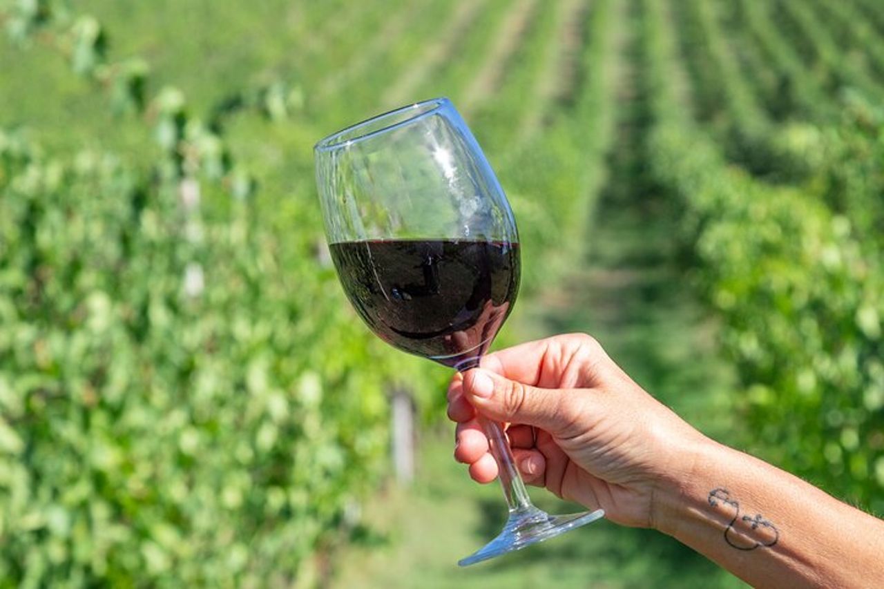 Degustazioni privato Azienda Agricola Colombina — 5