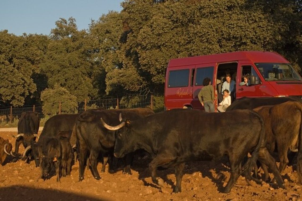 Visita en exclusiva con los 5 sentidos — 5