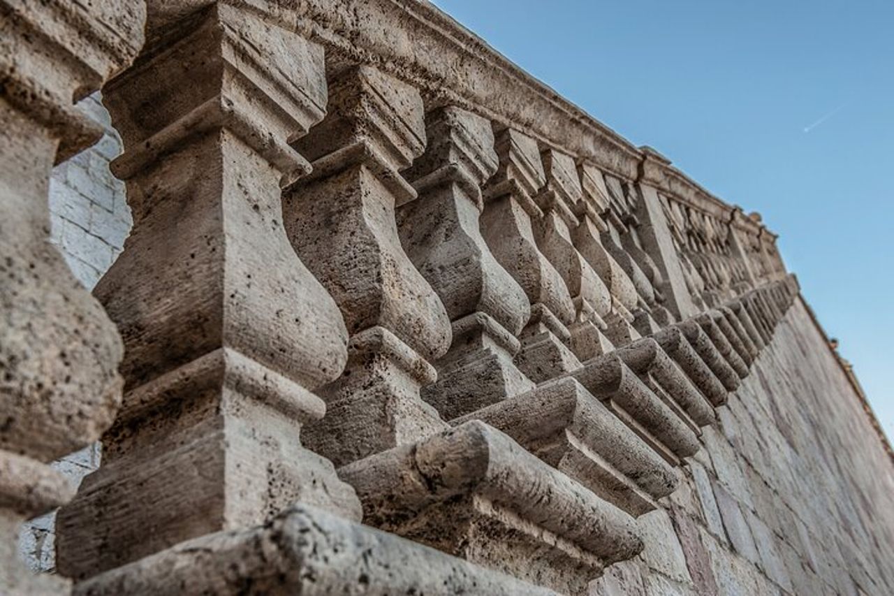 Tour della Basilica di San Francesco con guida ufficiale — 6