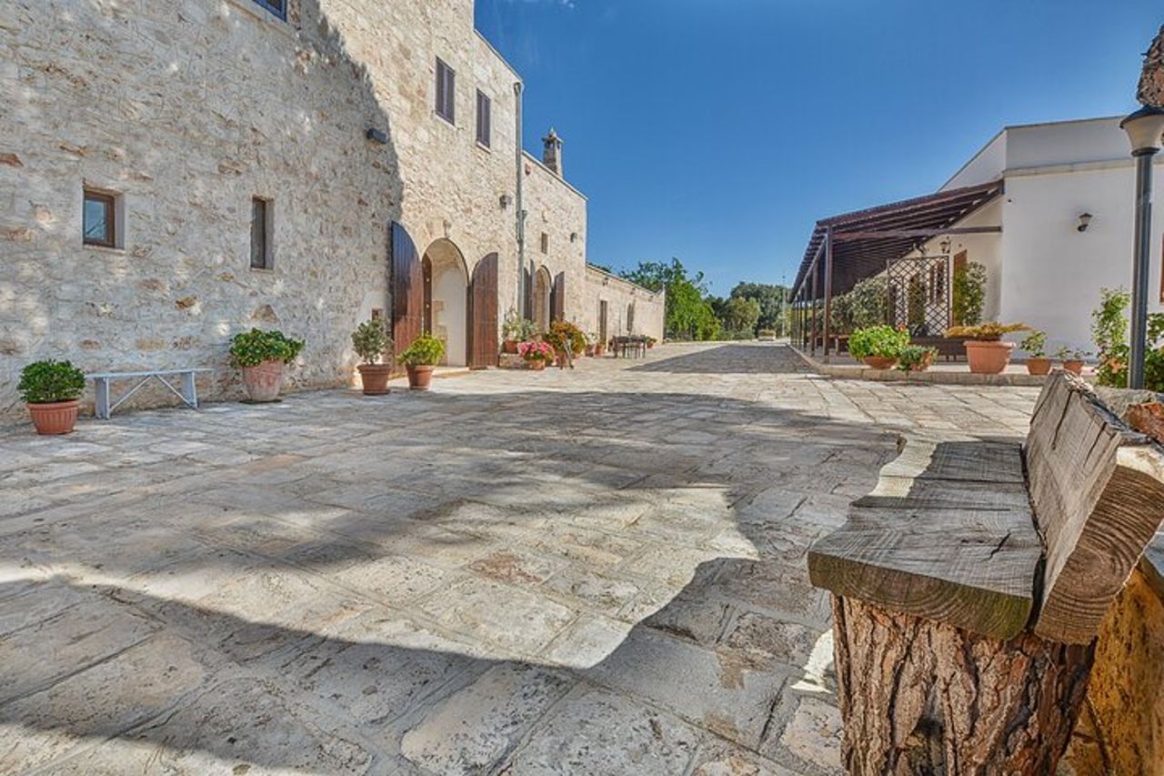 Ostuni: Degustazione di Olio Extra Vergine di Oliva in Masseria — 5