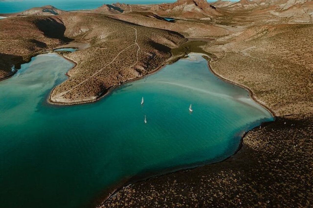 Tour dell'isola di Espiritu Santo — 5