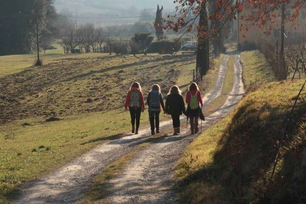 Escursioni private nel Chianti — 2