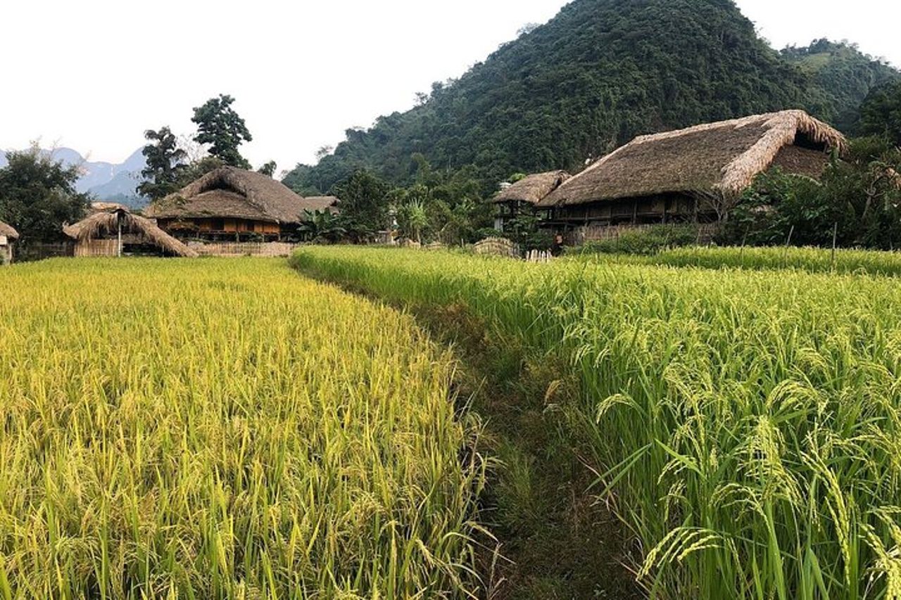 Ha Giang Comfort Car Ride 4D3N — 5