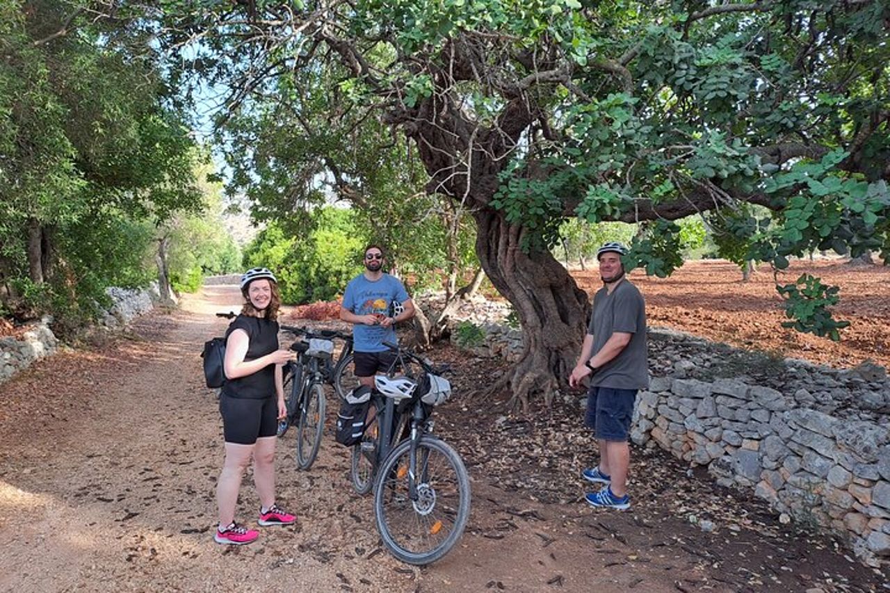 E-bike Tour a Ostuni, gli ulivi secolari e il villaggio rupestre — 3
