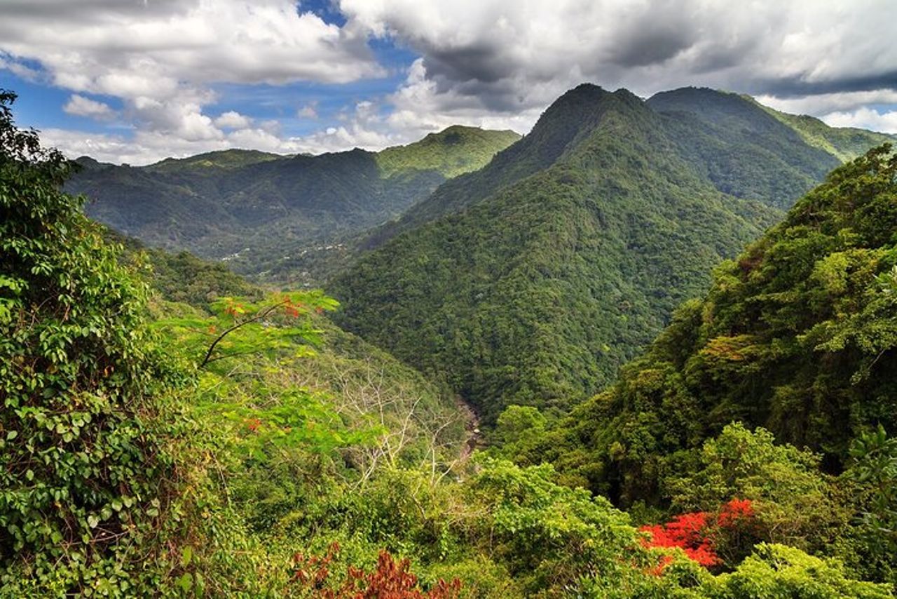 Tour privato alla cascata a Porto Rico — 2