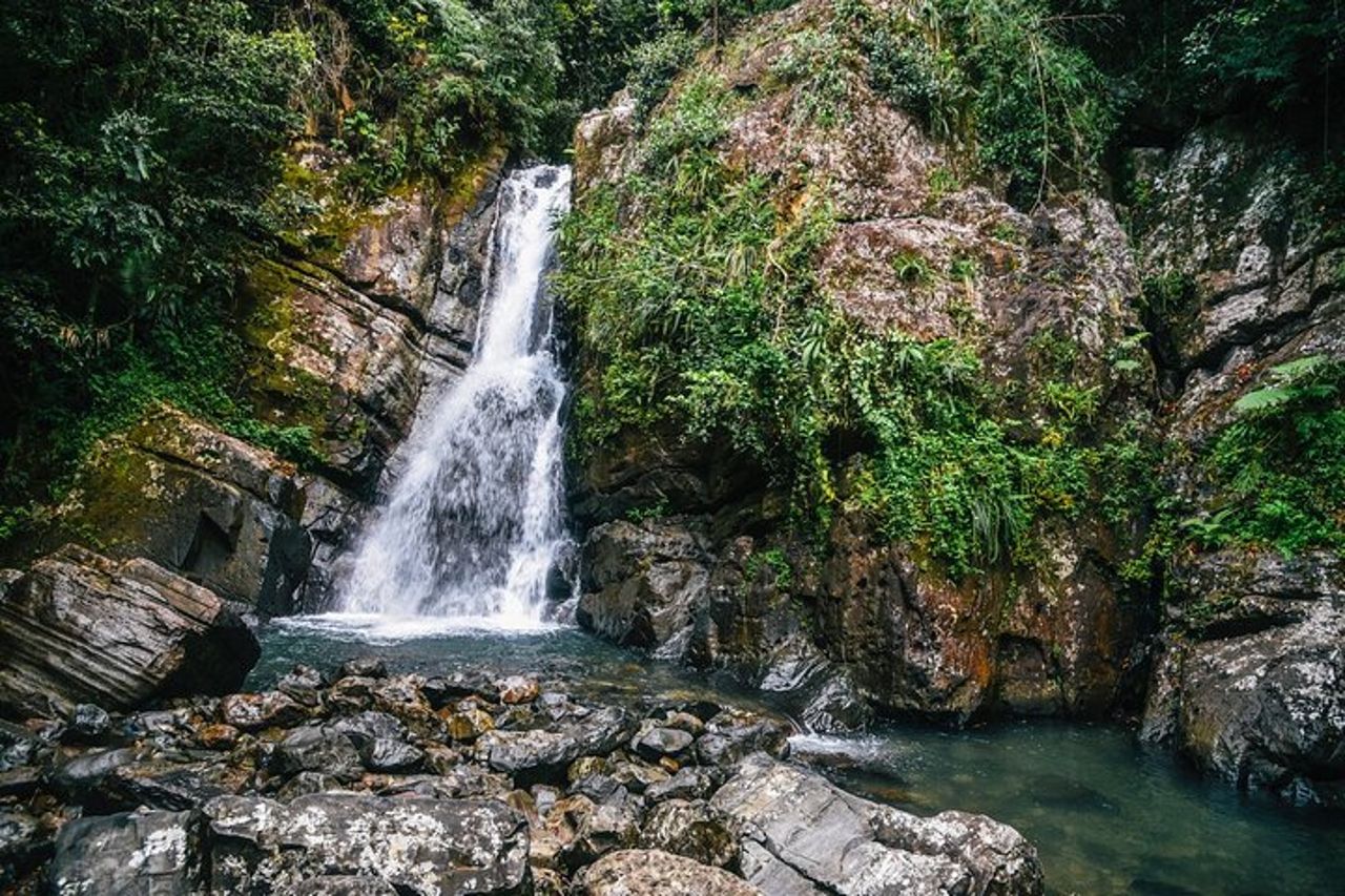 Tour privato alla cascata a Porto Rico